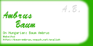 ambrus baum business card